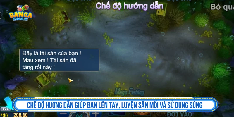 Vua Câu Cá - Luyện Tập, Khóa Mục Tiêu Và Giữ Vốn Chế độ luyện tập trong Vua Câu Cá