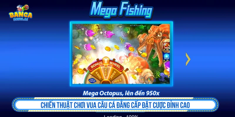 Vua Câu Cá - Luyện Tập, Khóa Mục Tiêu Và Giữ Vốn Chiến Thuật Chơi Vua Câu Cá Đẳng Cấp Đặt Cược Đỉnh Cao