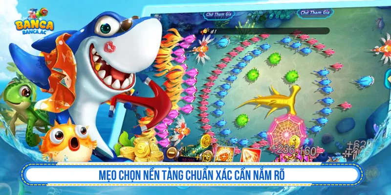 Bắn Cá Online Có Bịp Không? Dấu Hiệu Cần Kiểm Tra Kiểm tra nền tảng khi tìm hiểu bắn cá online